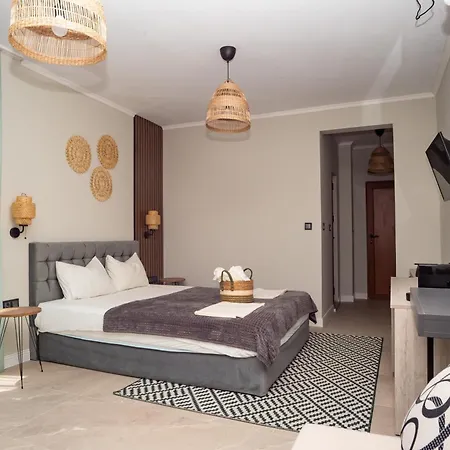 Hotel Salena