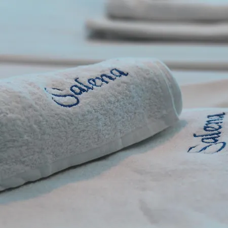 فندق Salena بريمورسكو